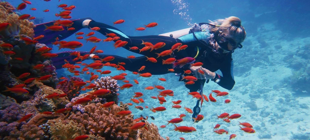 Buceo en Marsa Alam